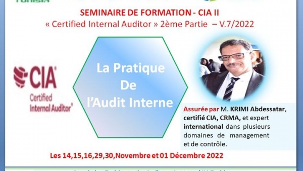 CIA Partie 2: La pratique de l'audit interne